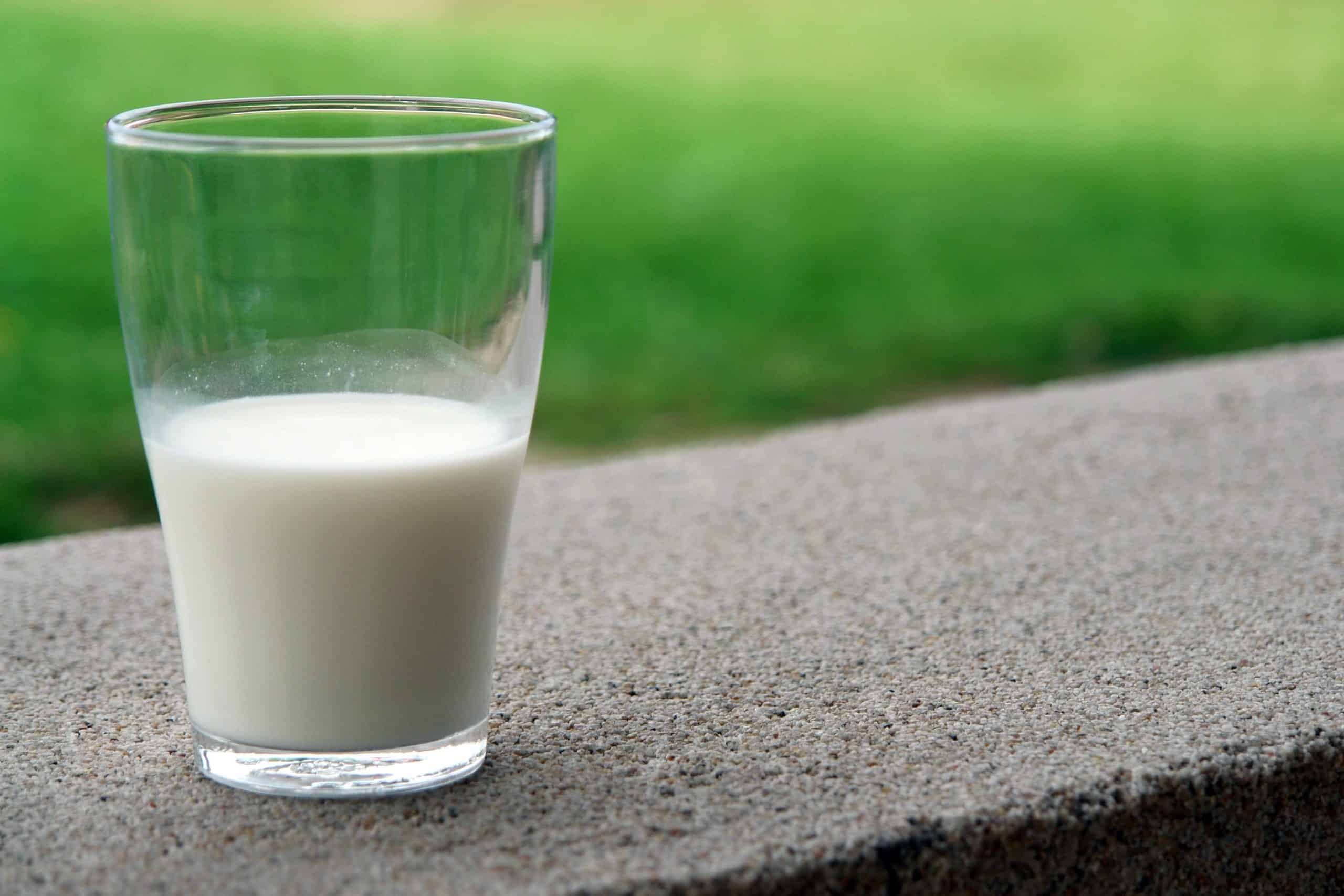 Mleko w proszku a dieta: wartości odżywcze i zastosowanie w diecie